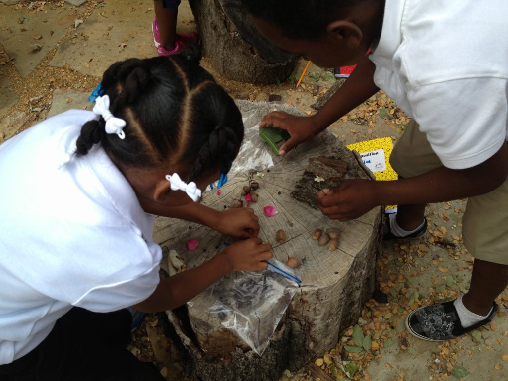 This is the look of a typical lesson in the outdoor classroom. 1st graders sorting natural objects by their physical properties. 
