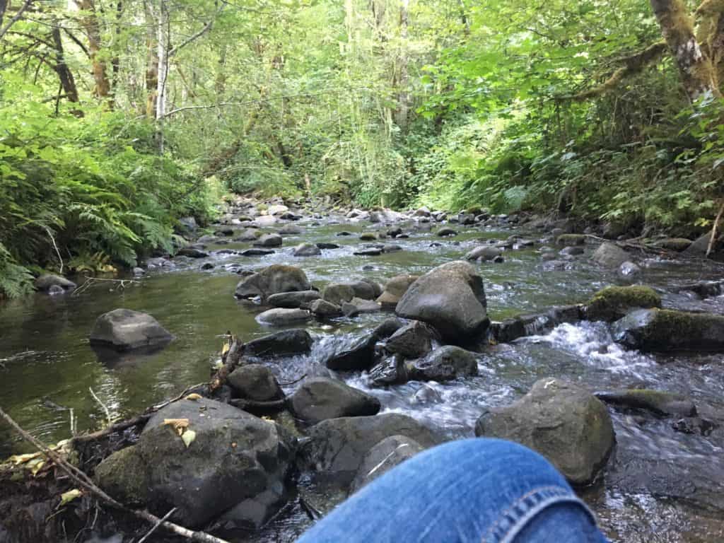 Just sitting in on a rock in the middle of a perfect creek on a perfect summer day. 