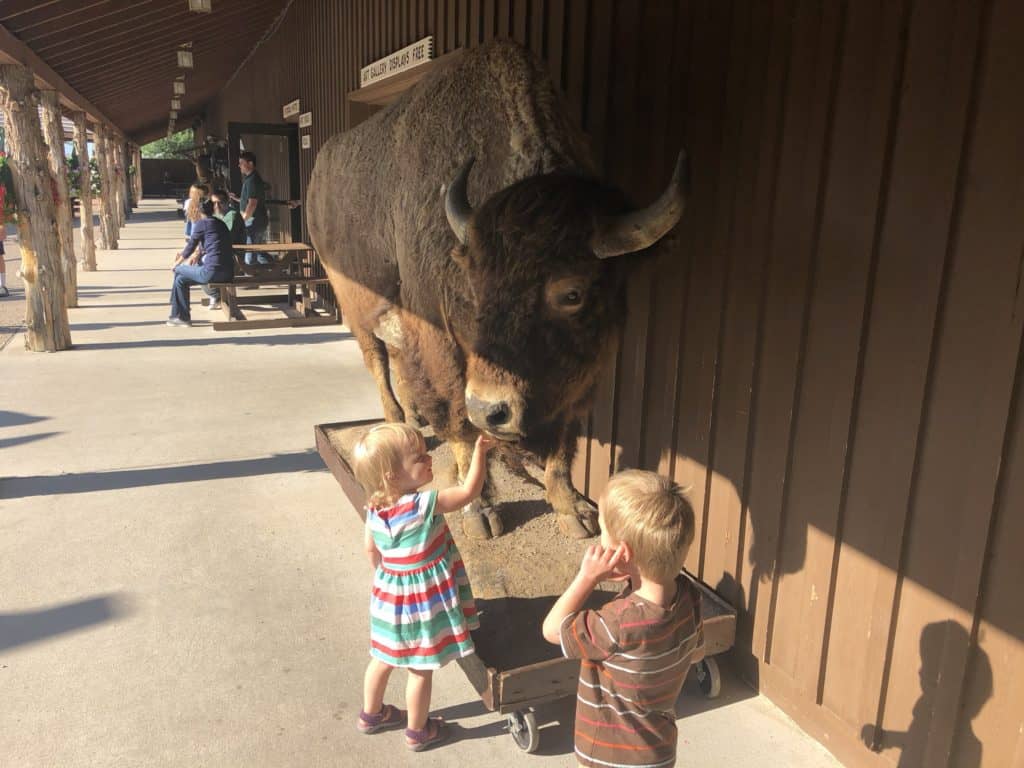 Taxidermy. Tough one to explain.